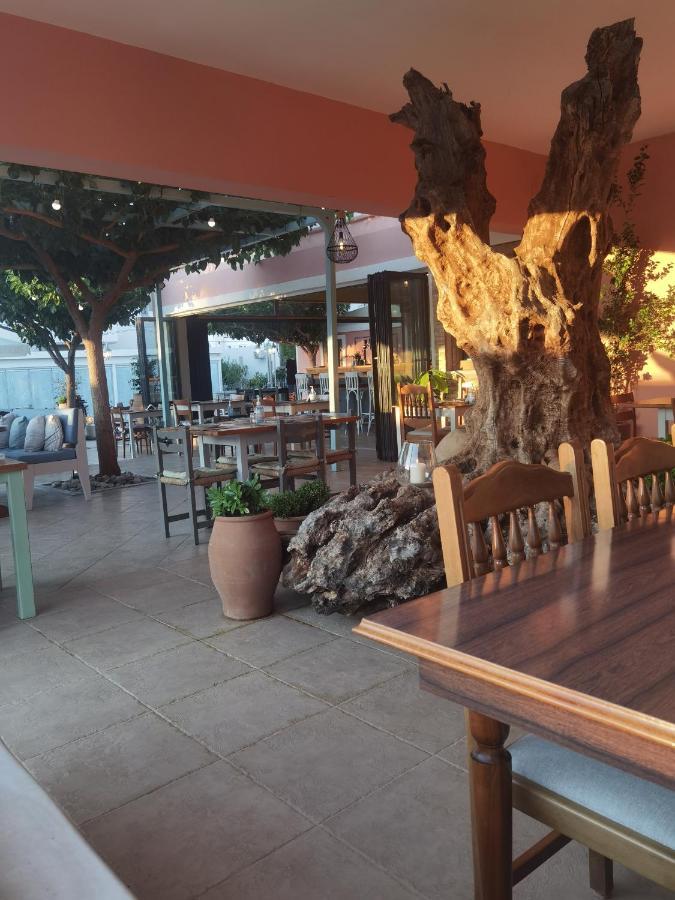 Hotel Anemi Stalida 外观 照片